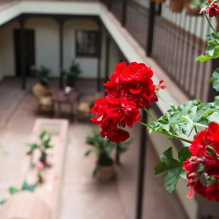 Patio De La Cartuja *