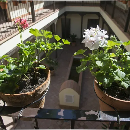 Patio De La Cartuja إشبيلية